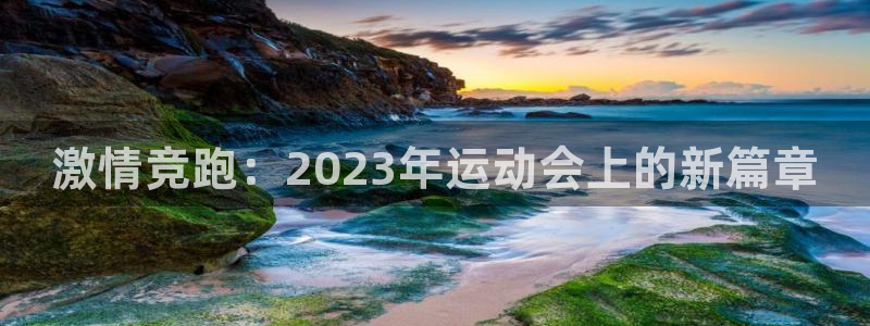 v66体育平台
