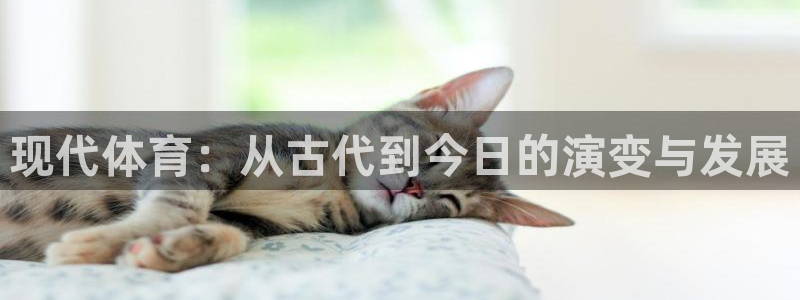 v66体育官网入口