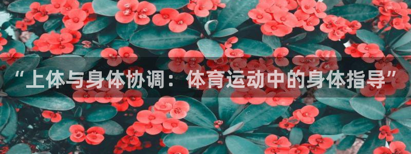 v66体育彩票平台存在多久了