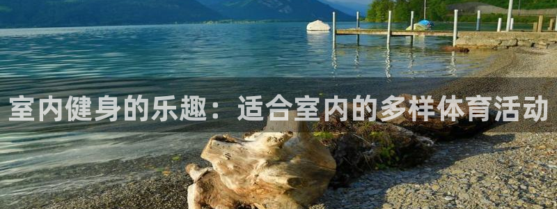v66体育平台正规吗可靠吗：室内健身的乐趣：适合室内的多样体育活动