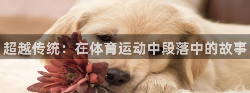 v66体育平台：超越传统：在体育运动中段落中的故事